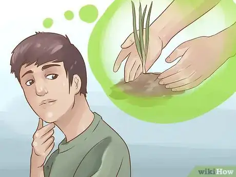 Image titled Grow Chives Step 1