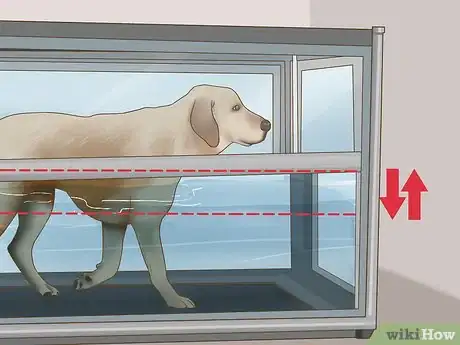 Image titled Exercise a Senior Dog on a Water Treadmill Step 7