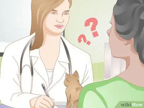 Image titled Choose Food for a Kitten Step 3