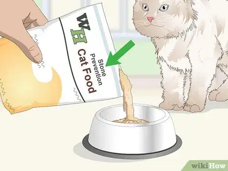 Image titled Prevent Stones in Cats Step 4