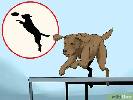 Image titled Become Close With Your Dog Step 15