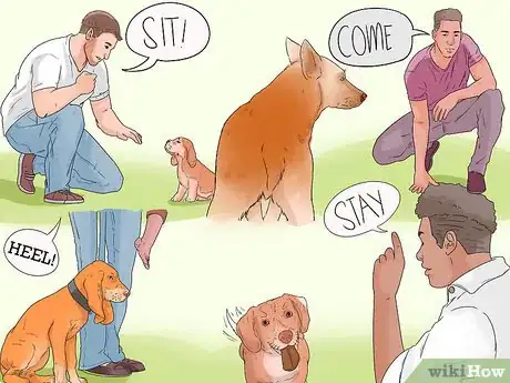 Image titled Keep Your Dog from Being Exposed to Household Poisons Step 12