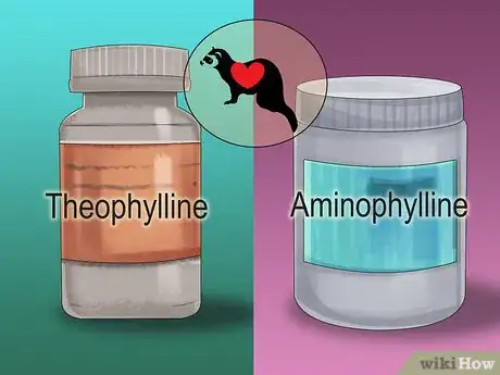 Image titled Diagnose Heart Disease in Ferrets Step 15