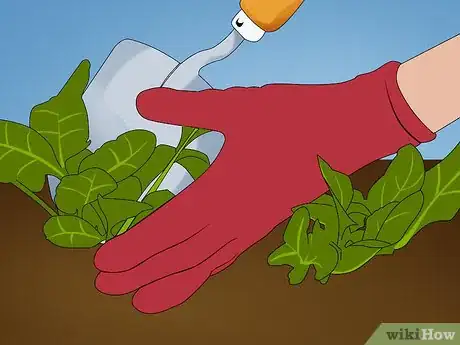 Image titled Alleviate Boredom at Home Step 6