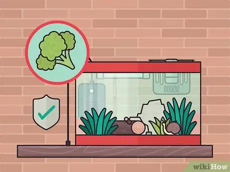 Image titled Set Up a Plant‐Only Aquarium Step 16