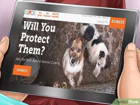 Image titled Adopt a Non‐Sporting Breed Step 6