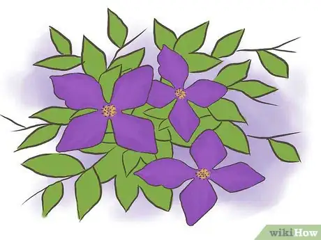 Image titled Prune Clematis Step 7