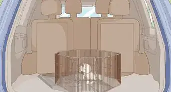 Remove Pet Hair from Your Car