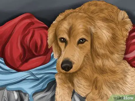 Image titled Use Dog Pheromone Products Step 12