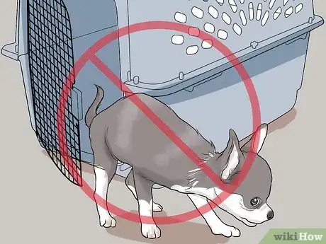 Image titled Fly Internationally With a Dog Step 19