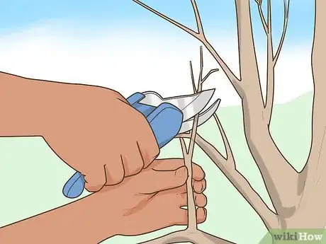 Image titled Protect Your Belongings in a Wildfire Step 2