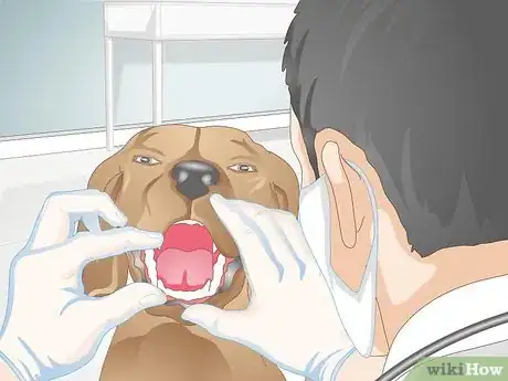 Image titled Choose Tartar Control Dog Treats Step 6