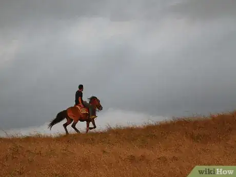 Image titled Collect Breyer Model Horses Step 5