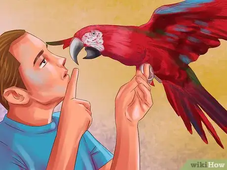 Image titled Stop a Greenwing Macaw from Biting Step 7