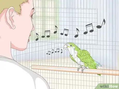 Image titled Teach a Quaker Parrot to Speak Step 5