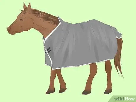 Image titled Measure for a Horse Blanket Step 8