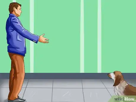 Image titled Adopt a Hound Dog Step 13