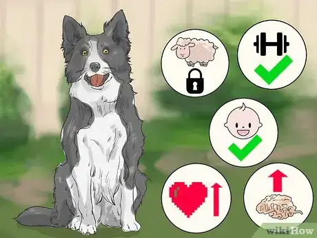 Image titled Choose an Active Dog Step 12