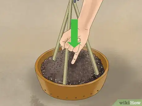 Image titled Grow Cucumbers in Pots Step 9