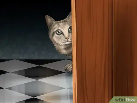 Image titled Hide Treats for Your Cat Step 8