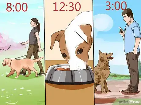 Image titled Get a Dog While You're a Teen Step 7