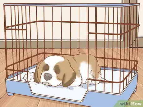 Image titled Stop a Dog from Pawing Step 11