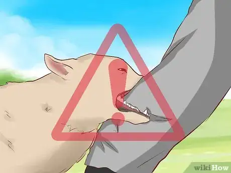 Image titled Train a Puppy Not to Bite Step 8