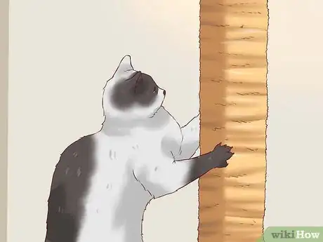 Image titled Keep a Cat from Becoming Fat and Lazy Step 10