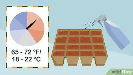 Image titled Plant Sedum Step 7