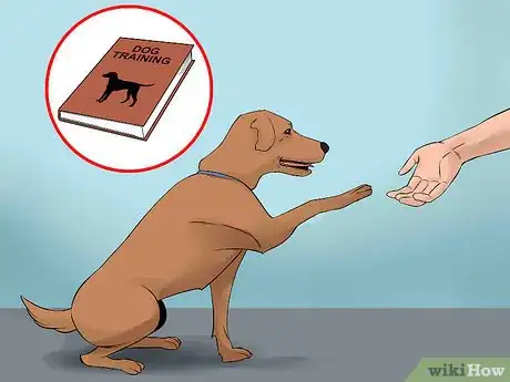 Image titled Find Low Cost Dog Training Step 9