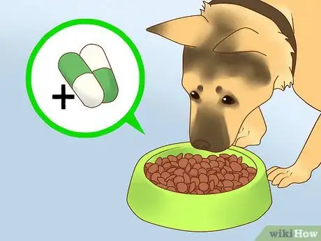 Image titled Treat Depression in Dogs Step 8