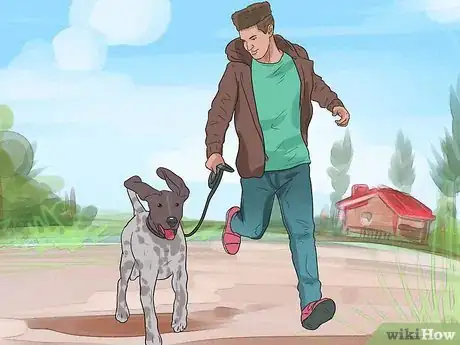 Image titled Care for German Shorthaired Pointers Step 12