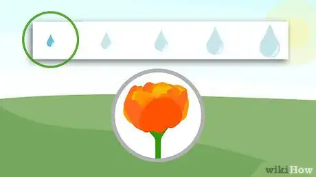 Image titled Plant a Sun Lover Step 10