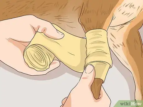 Image titled Prevent Older Dogs from Creating Lick or Scratch Sores Step 4