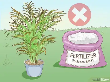 Image titled Make an Areca Palm Grow Faster Step 3