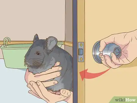 Image titled Clean a Chinchilla Cage Step 9