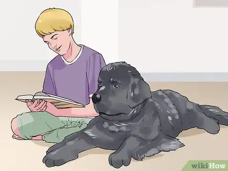 Image titled Choose a Dog for Older Kids Step 3