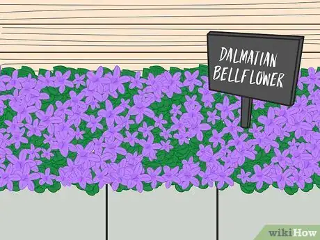 Image titled Choose Ground Cover Plants Step 05