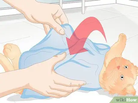 Image titled Approach a Sick or Injured Dog or Cat Step 11