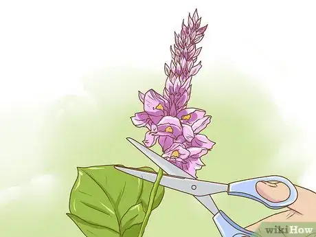 Image titled Harvest Kudzu Step 7