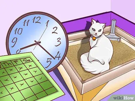 Image titled Train an Outdoor Cat to Use a Litter Box Step 14