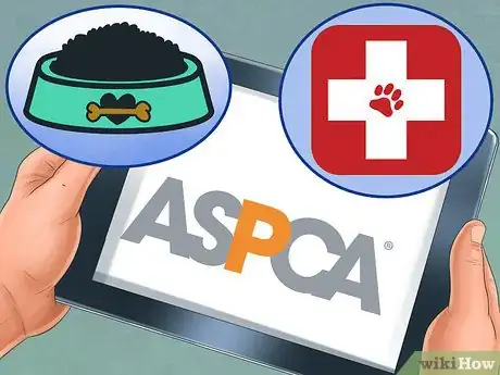 Image titled Adopt a Non‐Sporting Breed Step 3