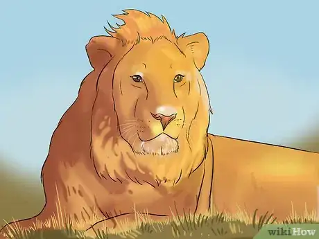 Image titled Celebrate Wholesome Bliss Step 2Bullet1