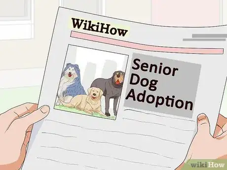 Image titled Encourage Senior Dog Adoption Step 6