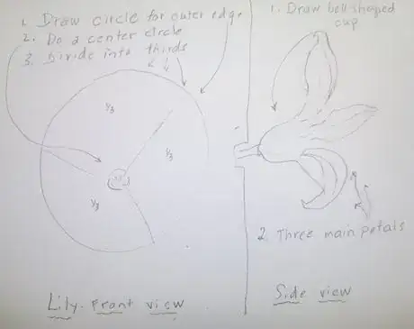 Image titled Startlily 1