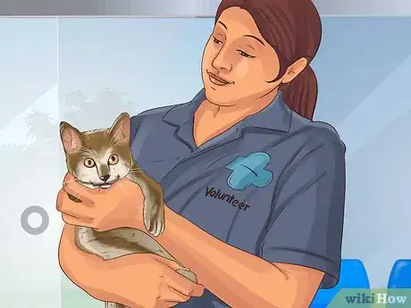 Image titled Become a Veterinary Anatomist Step 6