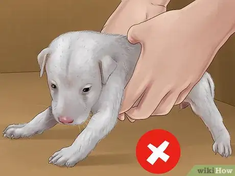 Image titled Know if You Are Ready for a Dog Step 23