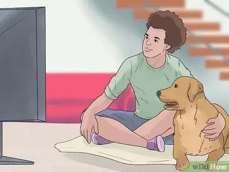 Image titled Stop Your Dog from Chewing Things it Shouldn't Step 7