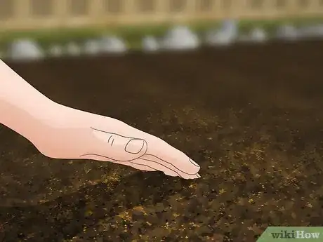 Image titled Plan a Vegetable Garden Step 11
