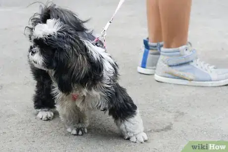 Image titled Maintain a Pet's Hair Step 8